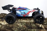 RC Buggy 1:18, 40 km/h, Allradantrieb - LiIon - "Electricity 306E"