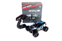 RC Buggy 1:18, 40 km/h, Allradantrieb - LiIon - "Thunder 312"