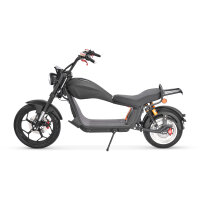 COCO BIKE CP-6 ELEKTRO-CHOPPER 45 KM/H