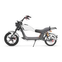 COCO BIKE CP-6 ELEKTRO-CHOPPER 45 KM/H