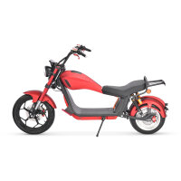 COCO BIKE CP-6 ELEKTRO-CHOPPER 45 KM/H