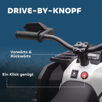 Elektro-Kinderquad, 3-8 km/h, 45 Min. Betriebszeit, LED-Scheinwerfer, Musikplayer mit USB, für Kinder 3 bis 5 Jahre