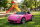 Kinderfahrzeug Porsche 911 Ruf - pink